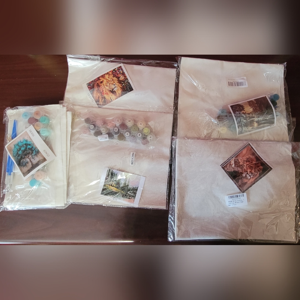 DIY Paint by Numbers Canvas Kits with Paints